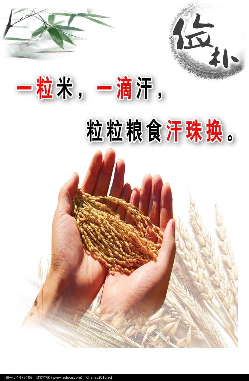 购买假广东发展银行流水电子版PDF